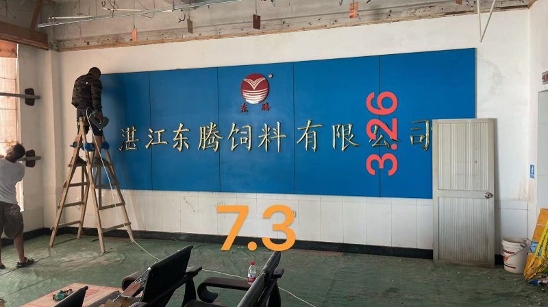 湛江东腾饲料背景墙施工现场